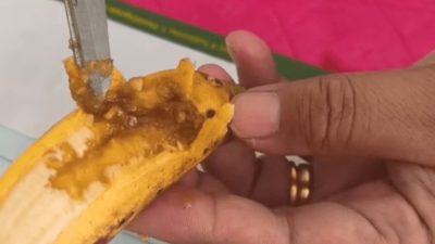 Viral !! Berulat, Menu MBG Di Kajang Ditemukan