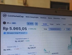 Ini Penyebab Harga Koin Pi Network Anjlok Pekan Ini