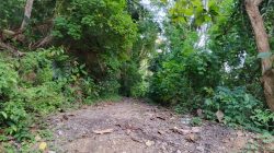 Aktivis Desak Kejaksaan Uji Materiil Proyek Jalan Cappia-Lembang Keke: “Pernyataan PPK Harus Dibuktikan di Lapangan!”