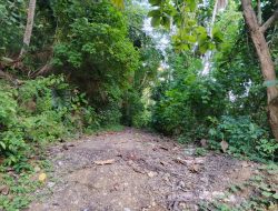 Aktivis Desak Kejaksaan Uji Materiil Proyek Jalan Cappia-Lembang Keke: “Pernyataan PPK Harus Dibuktikan di Lapangan!”