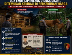 Dua Sapi Milik Petani di Kajang Sempat Hilang, Polisi Bergerak Cepat dan Berhasil Temukan Kembali