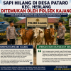 Sapi Hilang di Desa Pataro, Kecamatan Herlang, Berhasil Ditemukan dan Diamankan Polsek Kajang