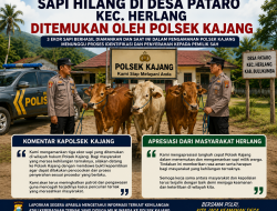 Sapi Hilang di Desa Pataro, Kecamatan Herlang, Berhasil Ditemukan dan Diamankan Polsek Kajang