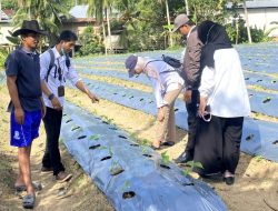 Penyuluh Kementerian Pertanian RI Kunjungi Lahan Cabai Rawit Agritech Muda Lembang di Kajang