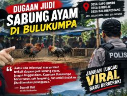Suandi Bali Tantang Kapolsek Bulukumpa: Jangan Diam, Cek Dugaan Sabung Ayam di Tiga Desa